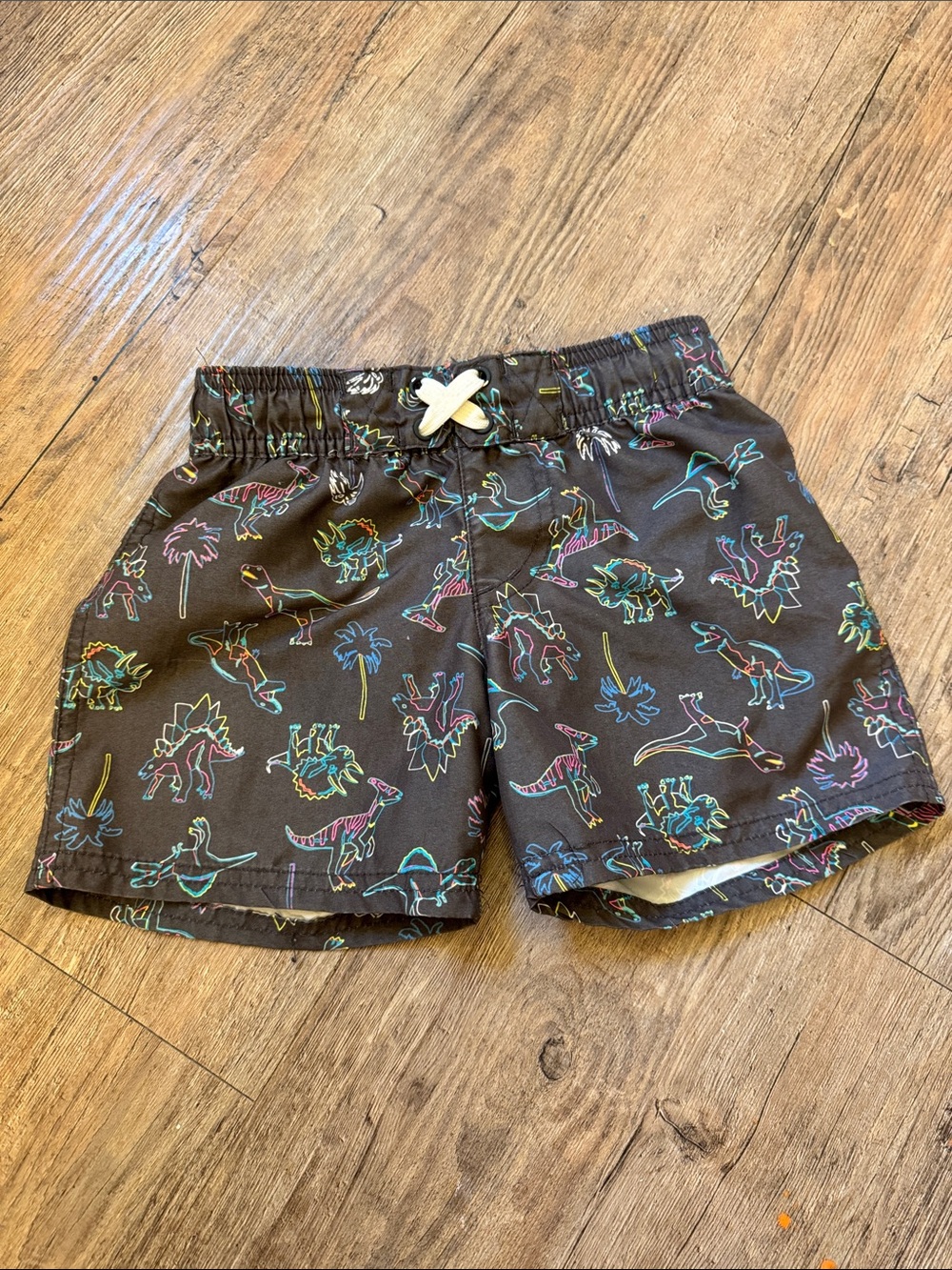 Cat & Jack Brown Swim Trunks with Neon Dinosaur Outlines